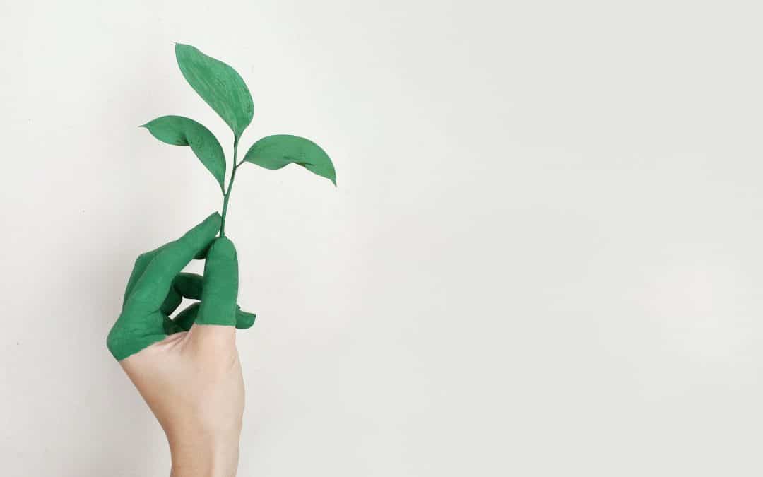 Growing Pains | Make It Virtual Assistant